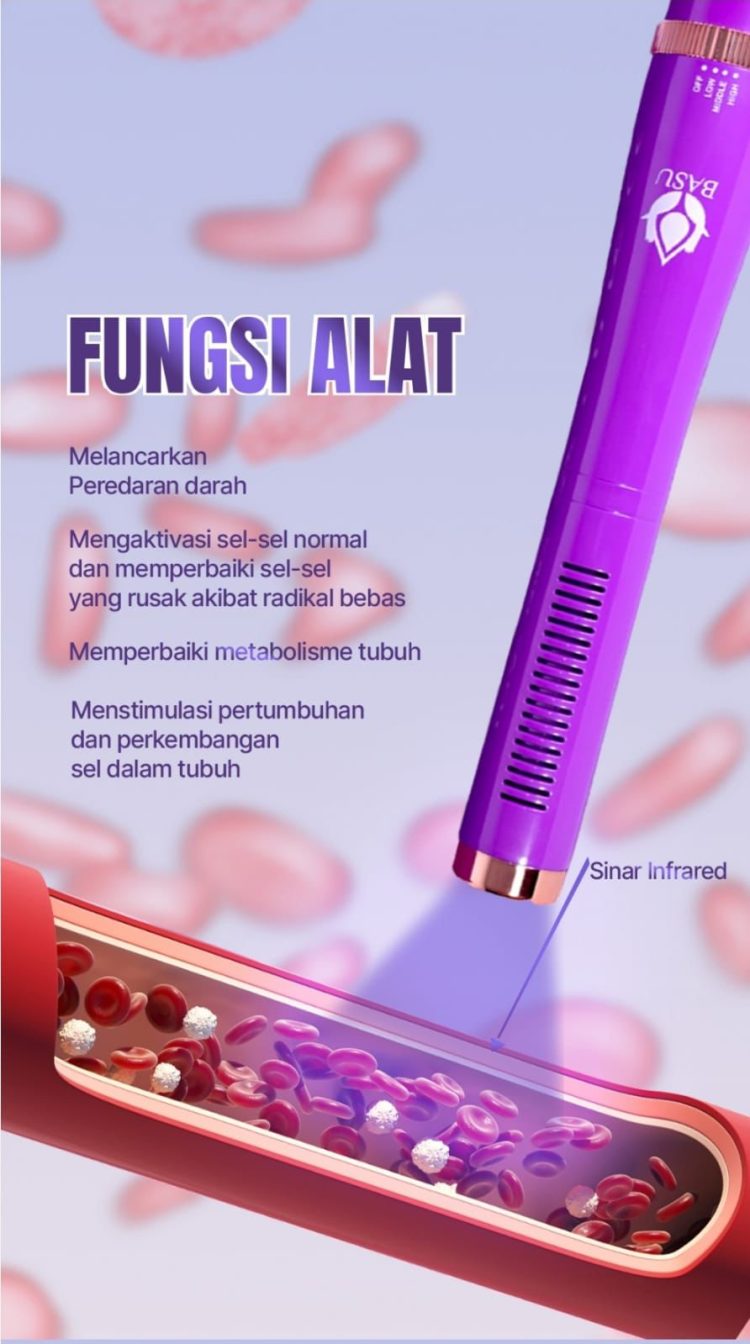BasuTera - Gambar 2